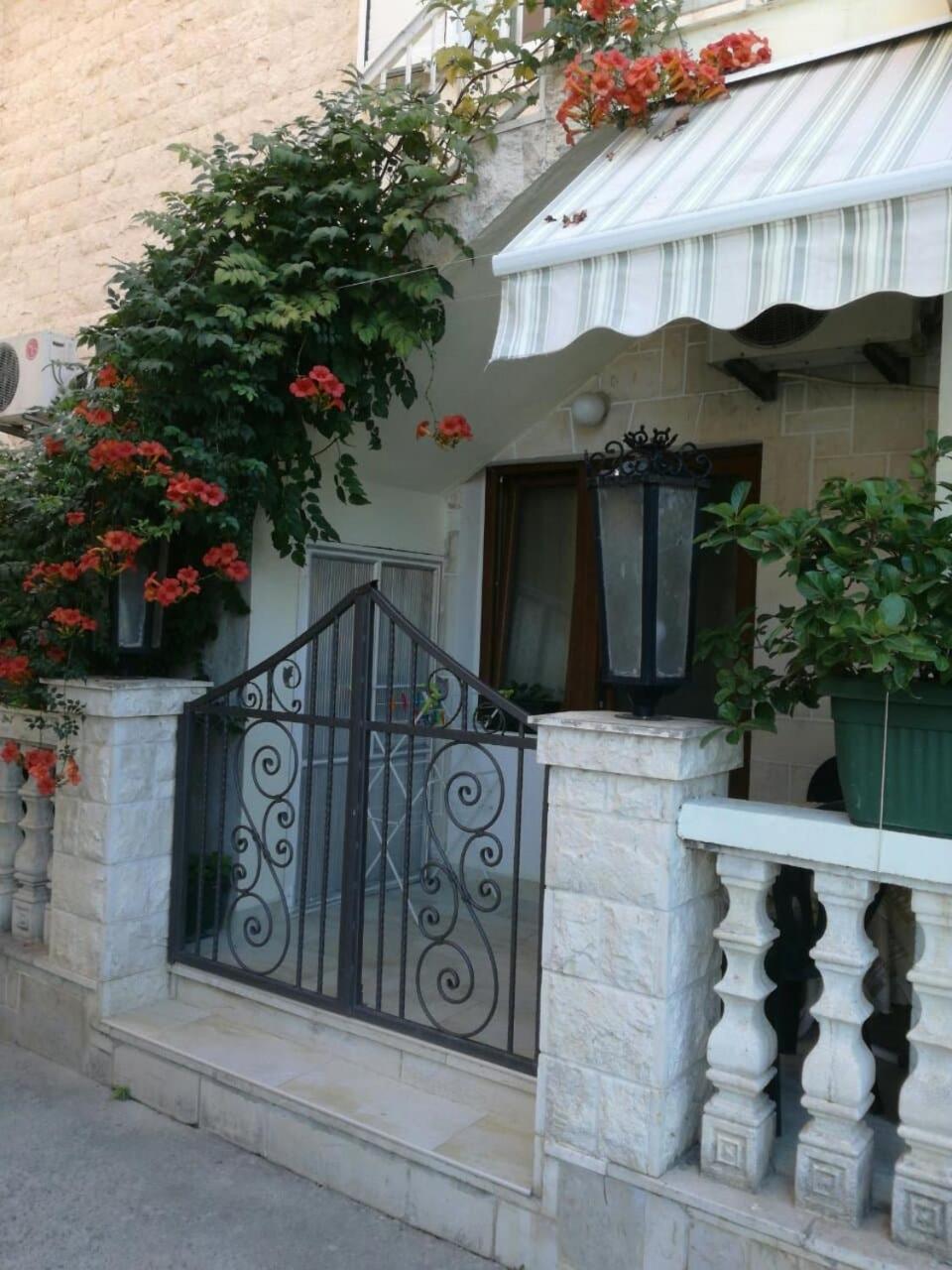 Romana 1 تيفات المظهر الخارجي الصورة